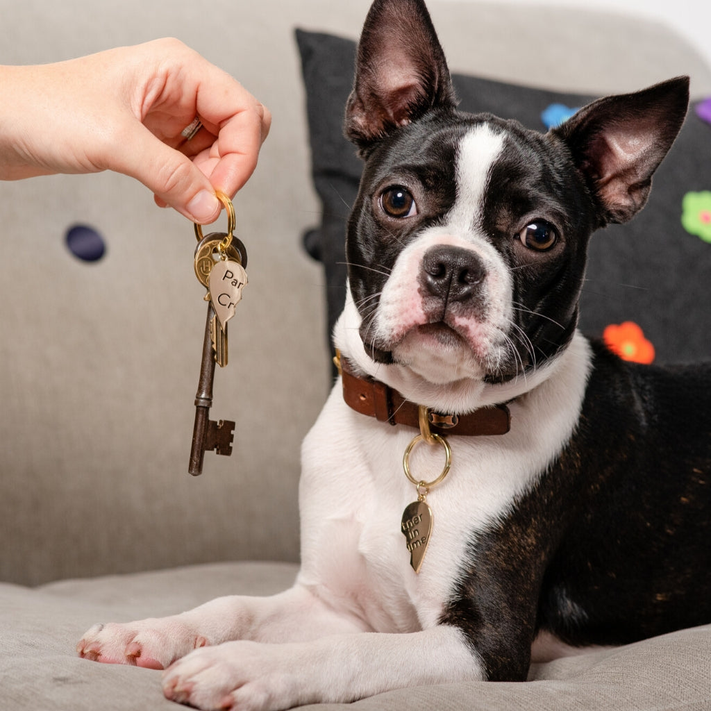 Partner In Crime Collar Charm and Keyring