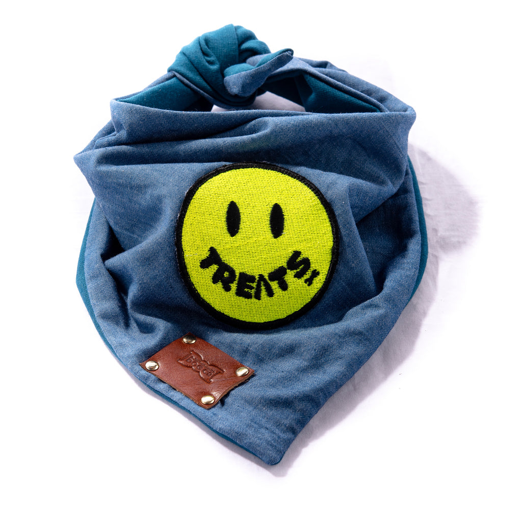 Doggy Smile Dog Bandana Neckerchief - TREATS