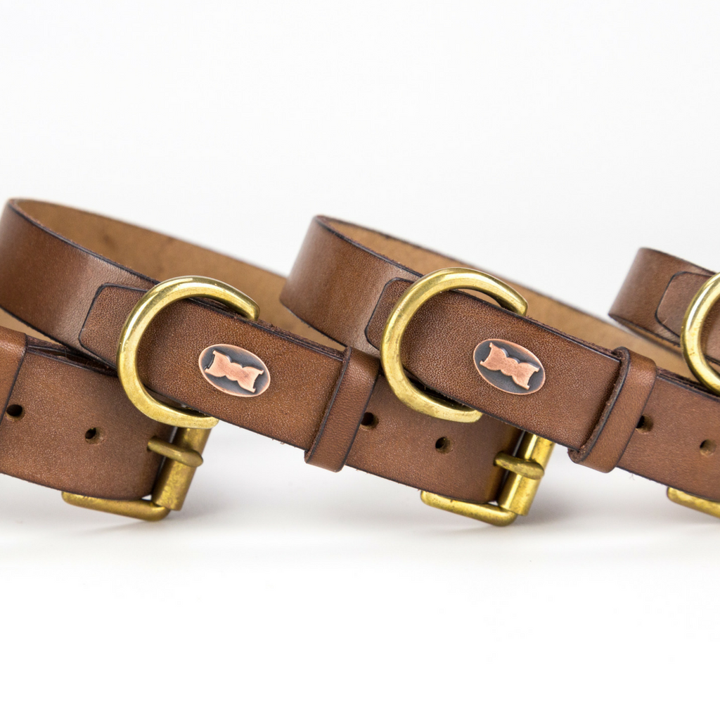 The Beddington Leather Dog Collar