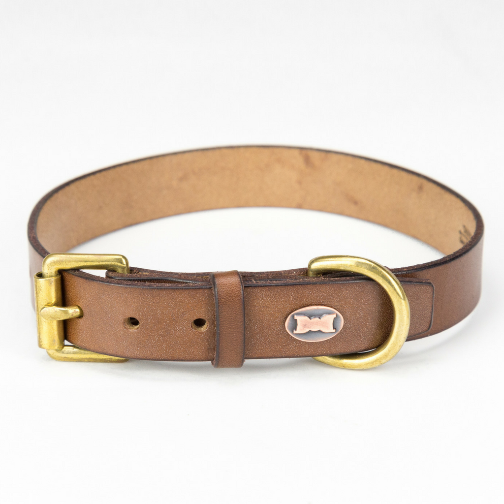 The Beddington Leather Dog Collar